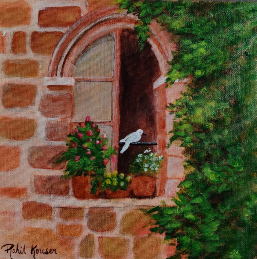 The White Dove